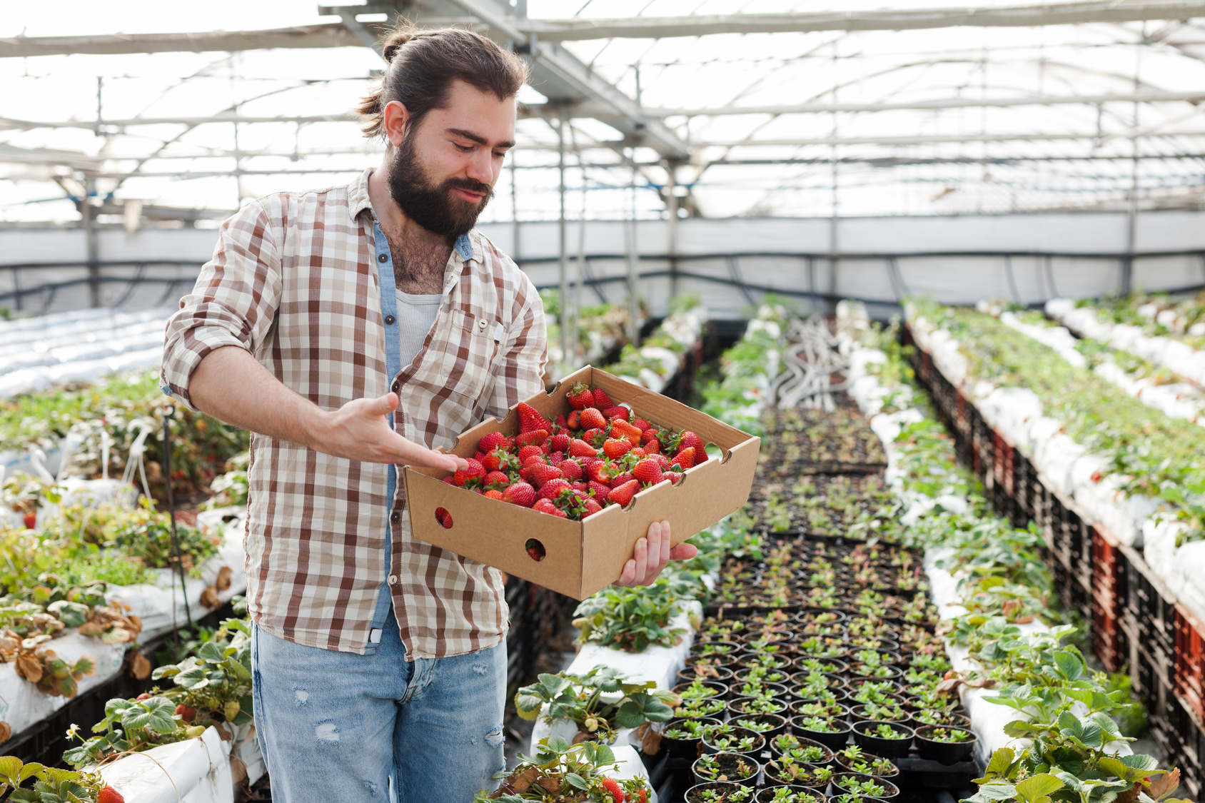 Agrotkanina a agrowłóknina – jaki produkt sprawdzi się w Twoim ogrodzie?