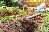 Jak odkazić glebę w ogrodzie?