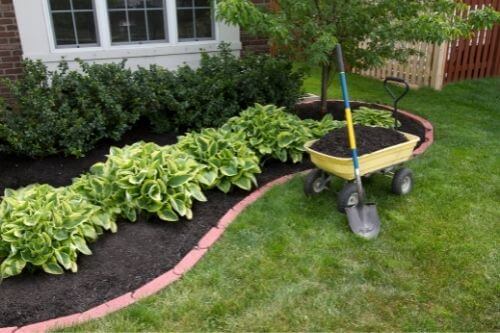 Czym ściółkować rośliny w ogrodzie - rodzaje, zastosowanie i zalety