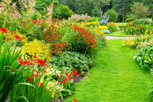 Jak zadbać o ogród latem?